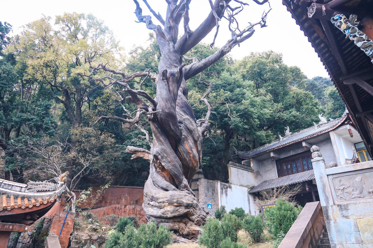 西昌旅游攻略必去景点（西昌旅游必打卡景点推荐）-梦路生活号