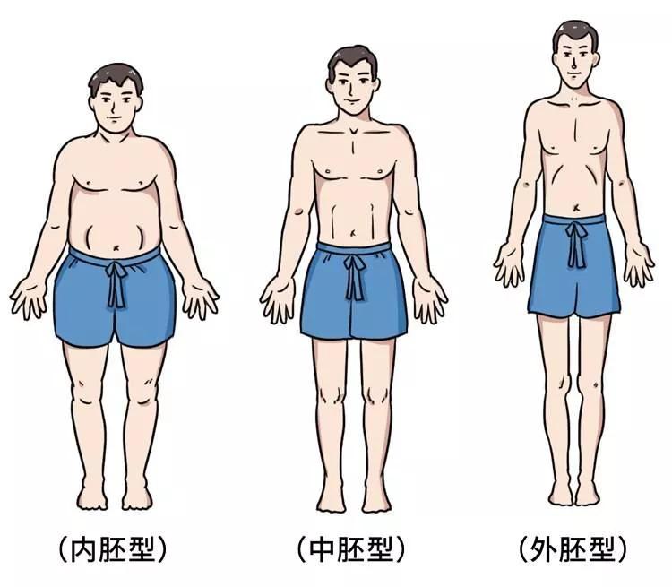 八块腹肌怎么练出来，教你正确练出八块腹肌的方法-梦路生活号