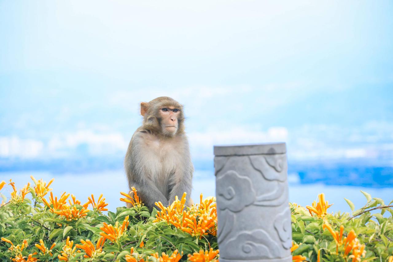 西昌旅游攻略必去景点（西昌旅游必打卡景点推荐）-梦路生活号