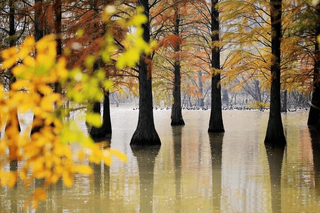 南京十大网红打卡地（南京旅游必去十大景点推荐）-梦路生活号