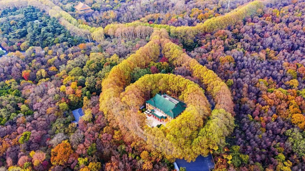 南京十大网红打卡地（南京旅游必去十大景点推荐）-梦路生活号