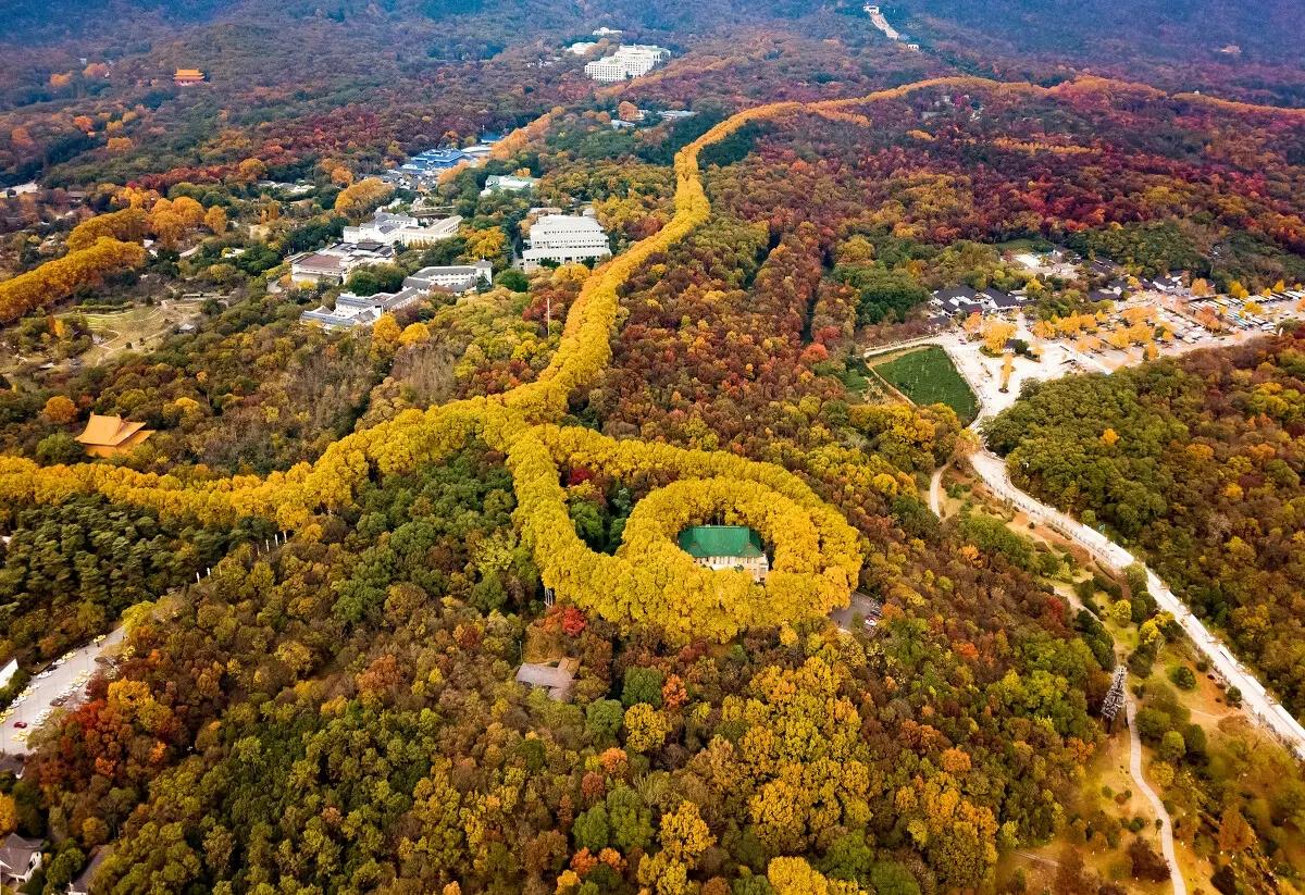 南京十大网红打卡地（南京旅游必去十大景点推荐）-梦路生活号