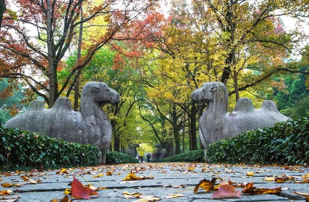 南京十大网红打卡地（南京旅游必去十大景点推荐）-梦路生活号