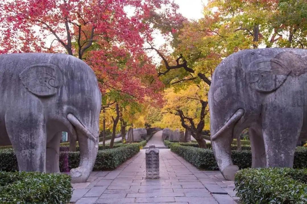 南京十大网红打卡地（南京旅游必去十大景点推荐）-梦路生活号