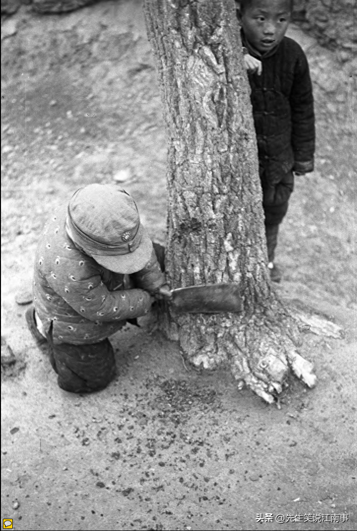 三年大饥荒的根本原因（1942年河南旱灾真实情况）-梦路生活号