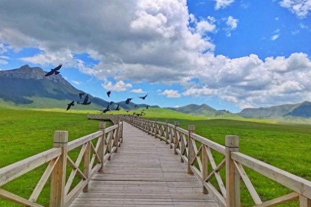 甘南旅游必去景点（甘南必去的十大景点推荐）-梦路生活号