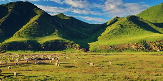 甘南旅游必去景点（甘南必去的十大景点推荐）-梦路生活号